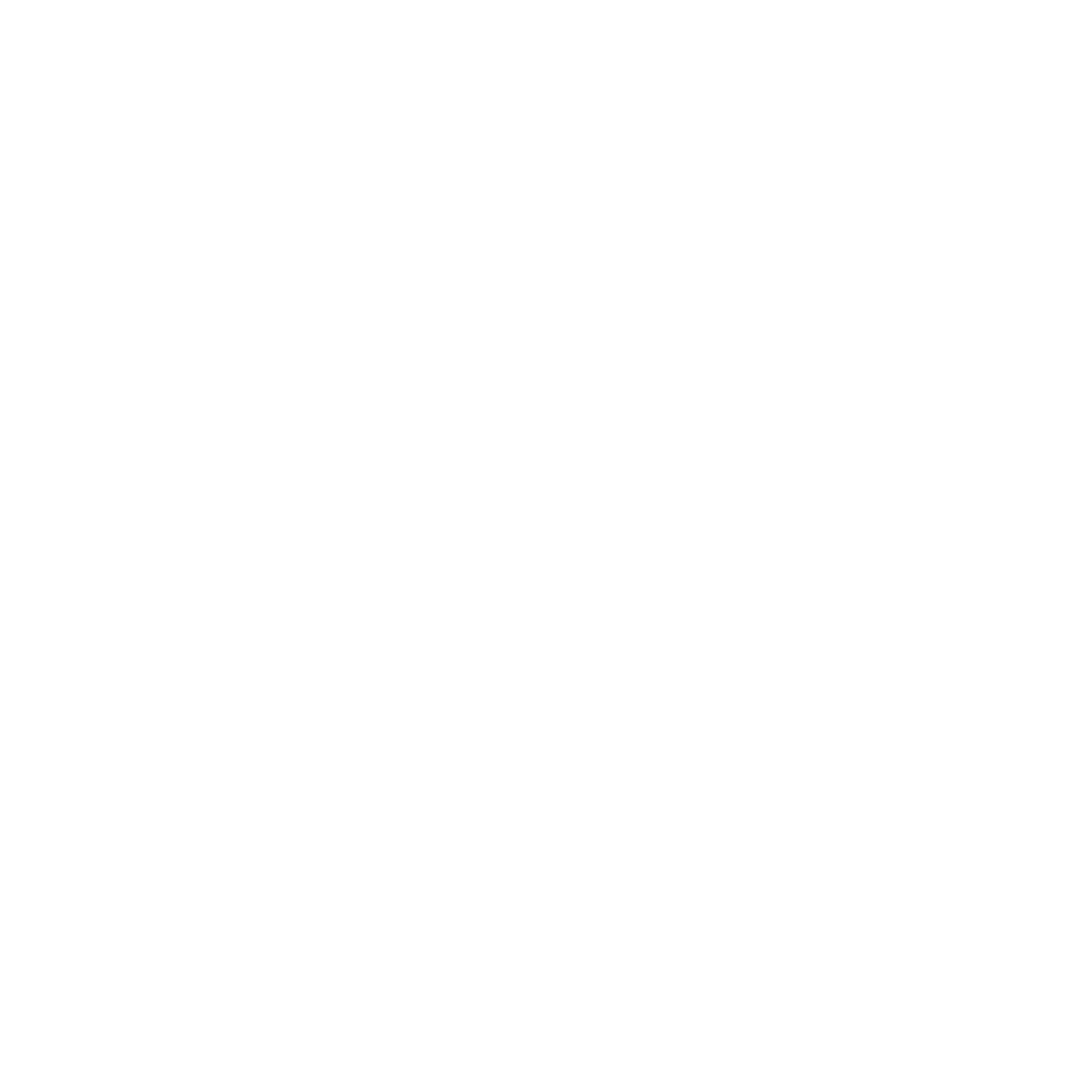 twitter_icon